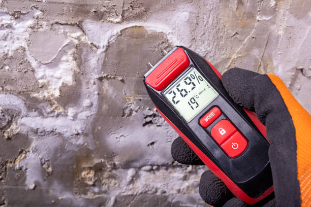 Best Residential Mold Removal  in Kewaskum, WI