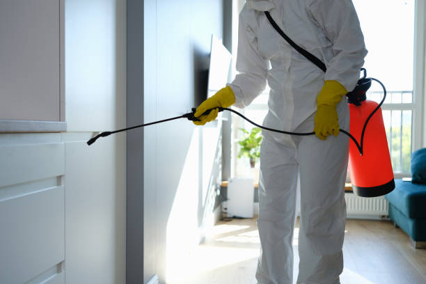 Best Mold Cleaning Services  in Kewaskum, WI