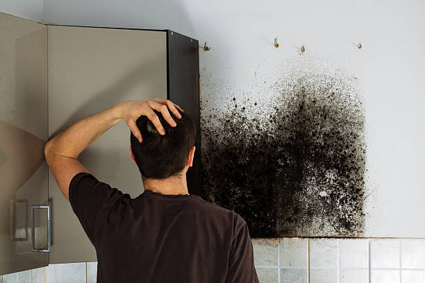 Water Damage Restoration in Kewaskum, WI